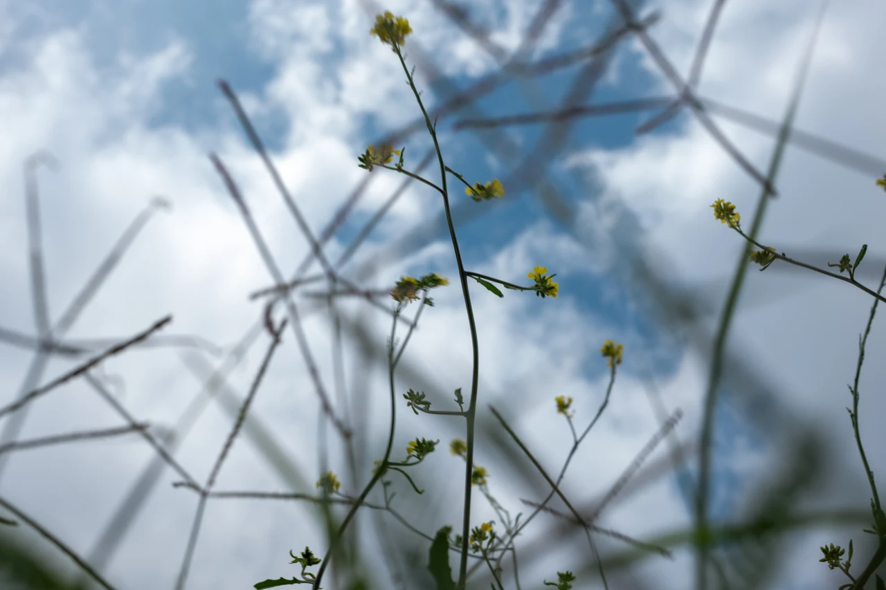 From below